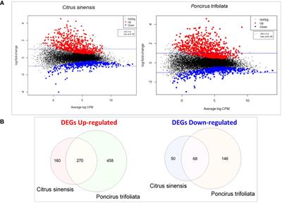Plant volatile-triggered defense in citrus against biotic stressors